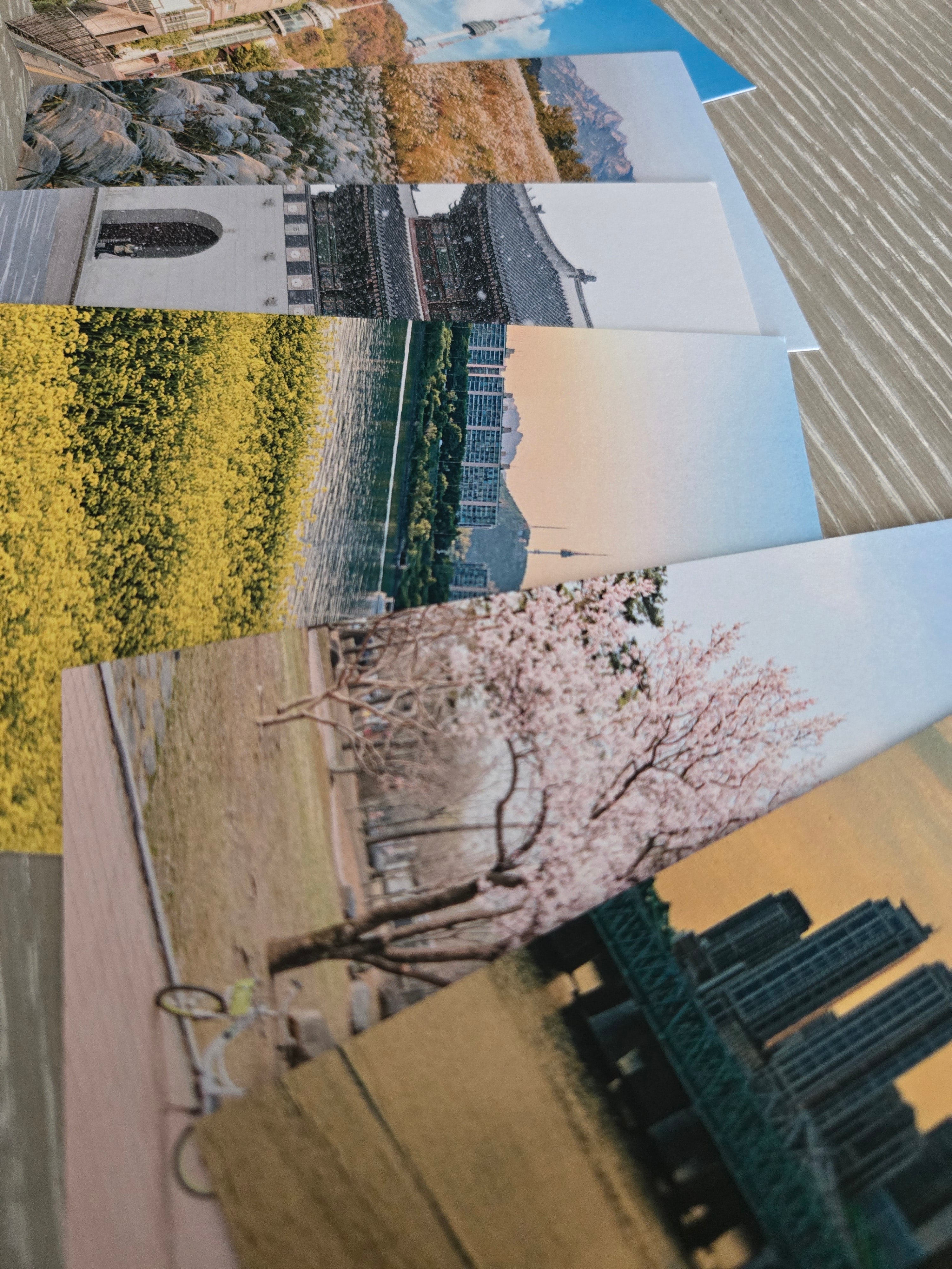 Seoul's Seasons Postcard