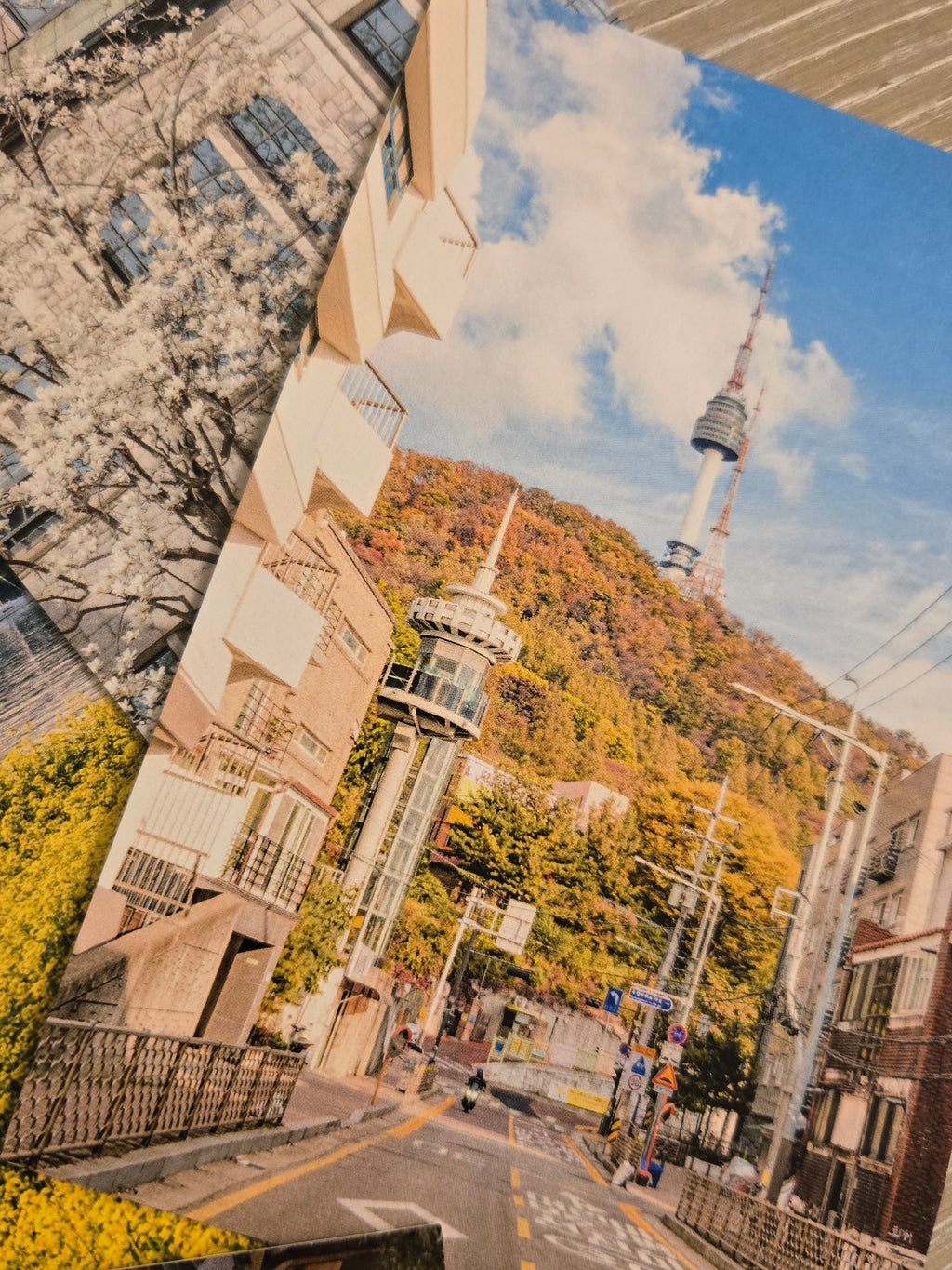 Seoul's Seasons Postcard