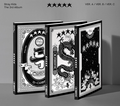 STRAY KIDS - ★★★★★ (5-STAR)