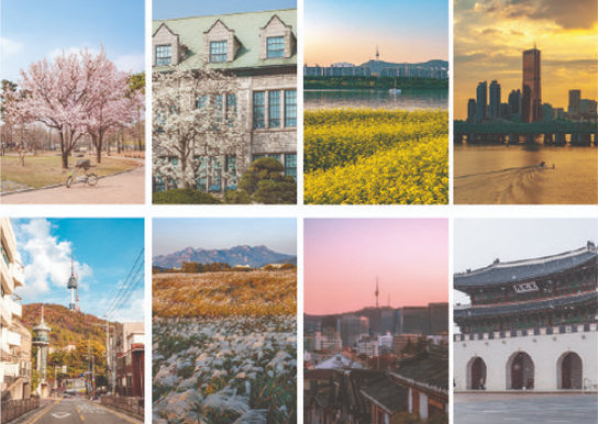 Seoul's Seasons Postcard