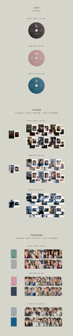 SEVENTEEN - FML 10TH MINI ALBUM