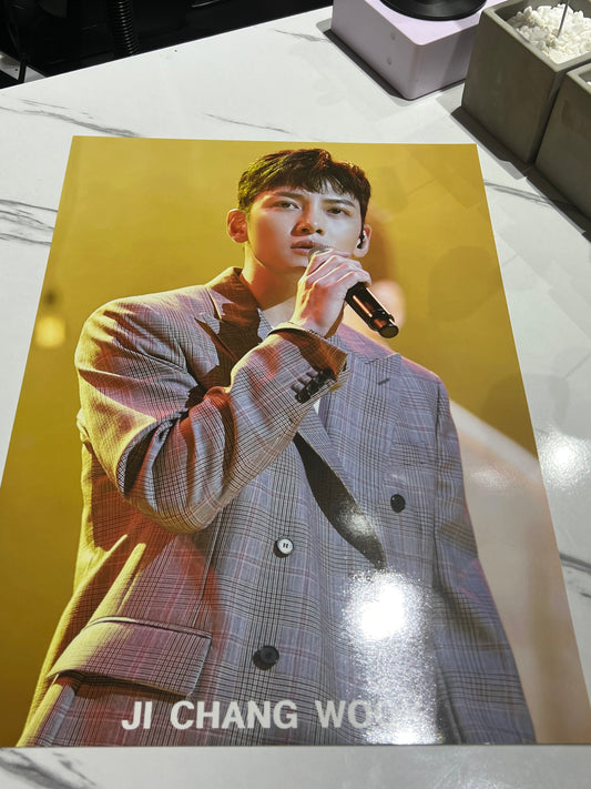 JI CHANG WOOK POSTERS