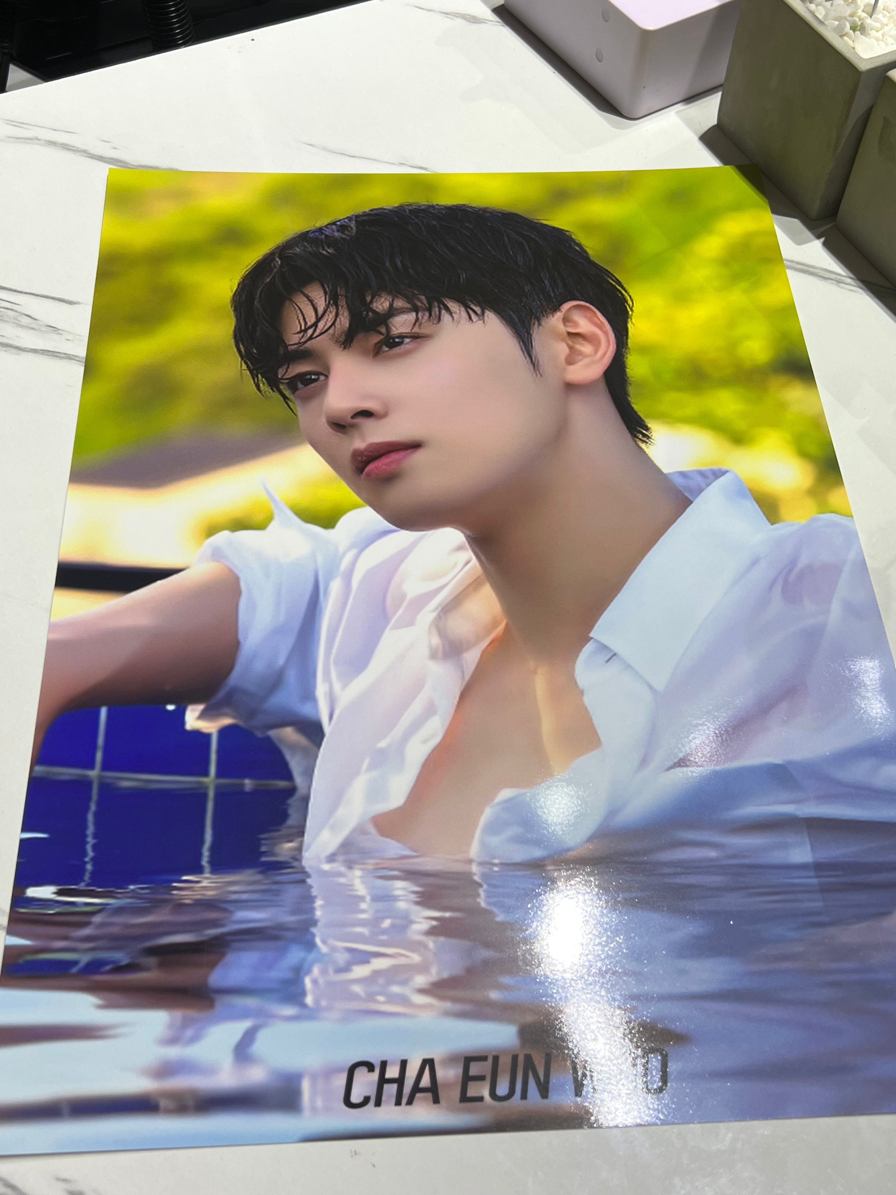 CHA EUN WOO (ASTRO) POSTERS
