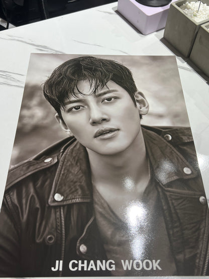 JI CHANG WOOK POSTERS