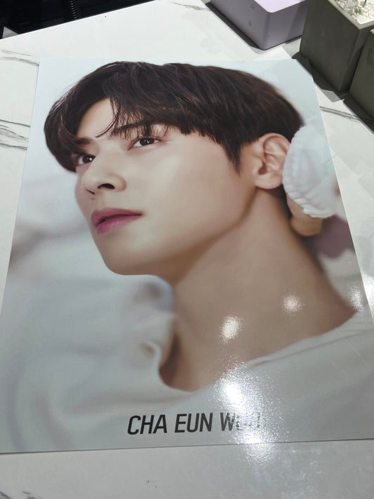 CHA EUN WOO (ASTRO) POSTERS