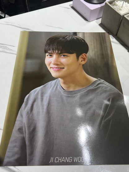 JI CHANG WOOK POSTERS