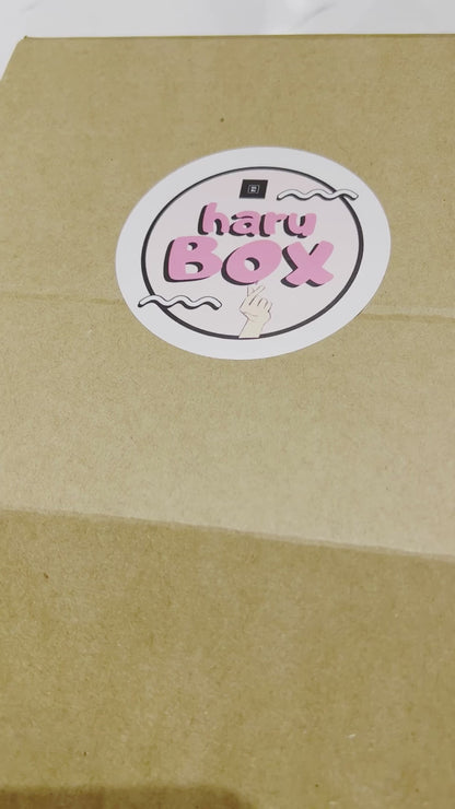 HARU SNACK BOX (RANDOM)