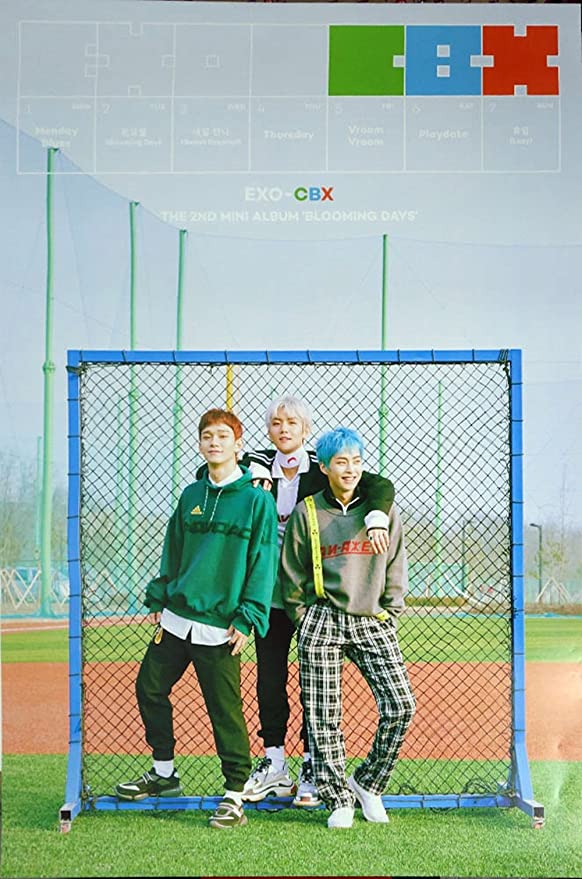 EXO - CBX  - Blooming Days POSTER (RANDOM)