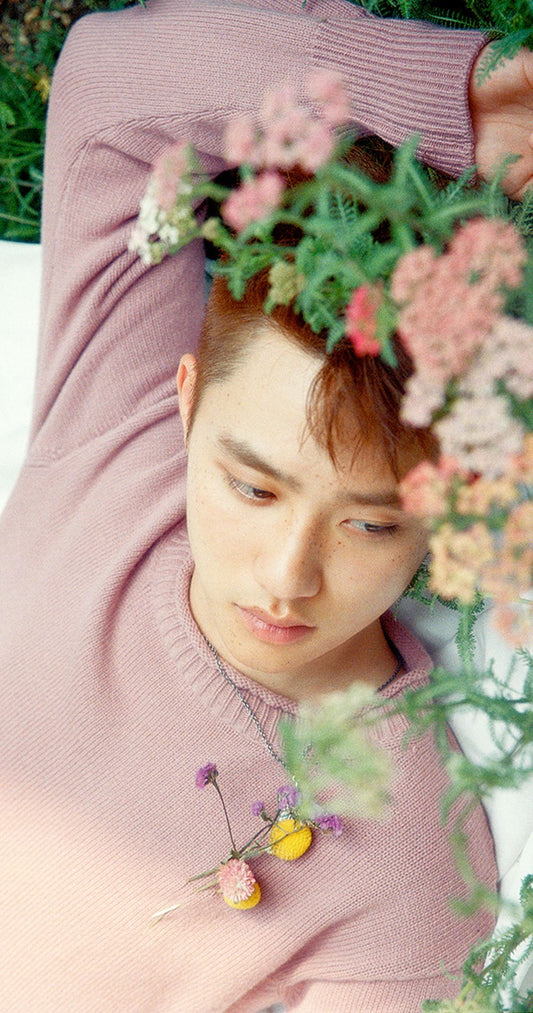 EXO - THE WAR (D.O) POSTER (RANDOM)