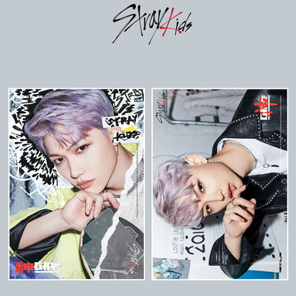 STRAY KIDS STICKER POSTER