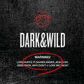 [BTS] 1ST FULL-LENGTH ALBUM - DARK & WILD